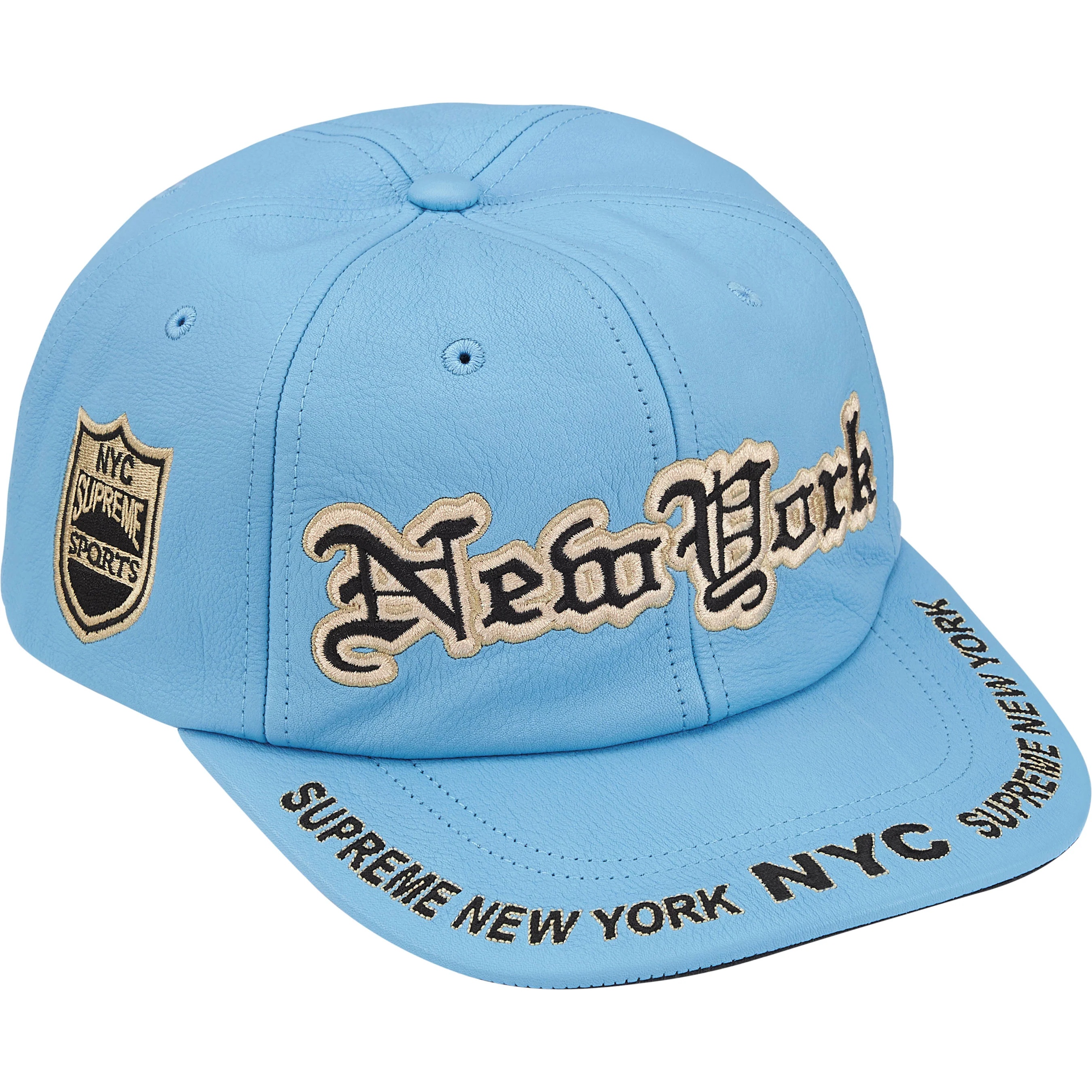 New York Leather 6-Panel view 6